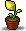Pot