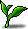 Fairy's Tea Leaf