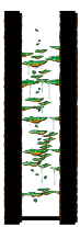 Hidden Street: Tree Dungeon, Monkey Forest II
