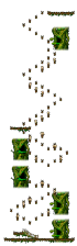 Hidden Street: The Forest of Patience <Step 5>
