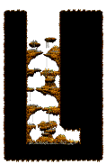 Dungeon: The Cave of Evil Eye IV