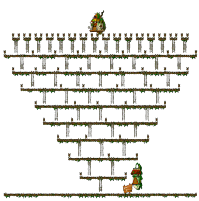 Hidden Street: Ola Ola <Level 3>