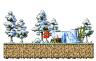 Snow Island: Dangerous Forest