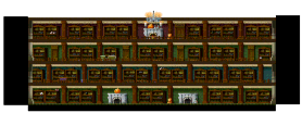 Haunted House: Library