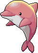 Dolphin
