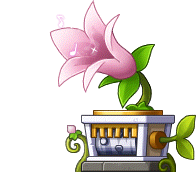 Music Box