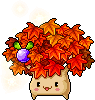 Maple Tree